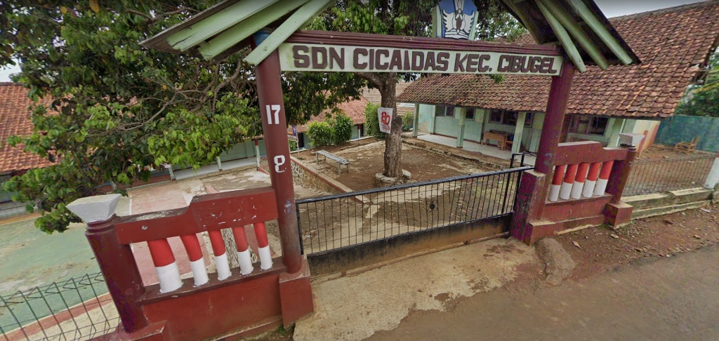 SDN Cicaidas Background